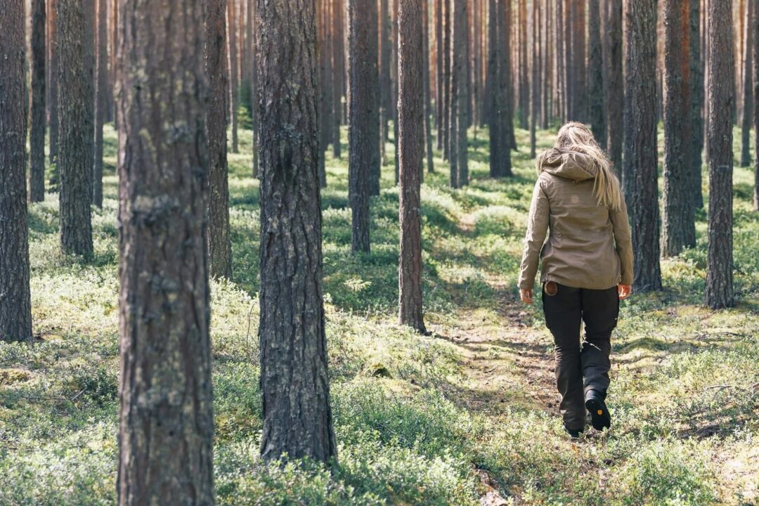 Women’s hiking on a forest trail, walking past tall trees outdoors in a wilderness area.