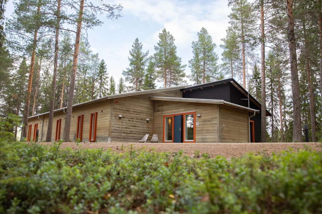 Wooden cabin in a pine forest clearing, surrounded by tall trees