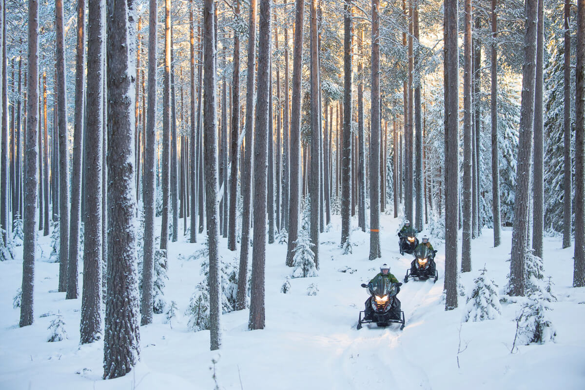 Snowmobile riders travelling through a snowy pine forest in winter conditions