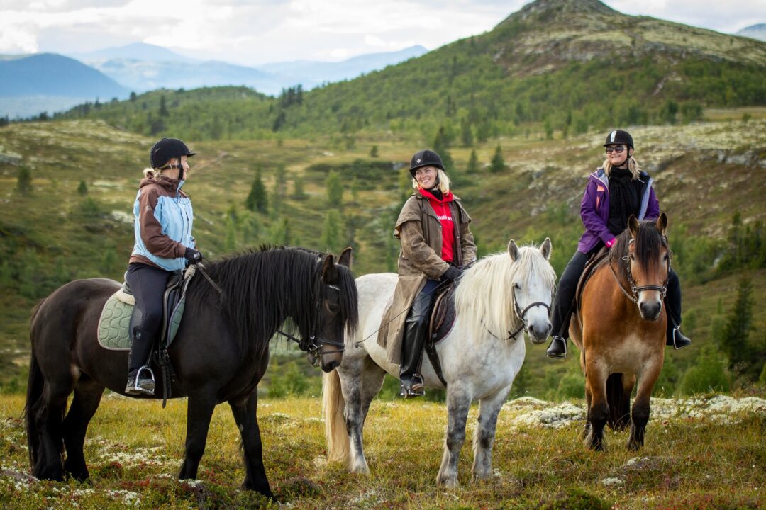 Women horse riding in Norway, group on horseback in a mountainous valley landscape