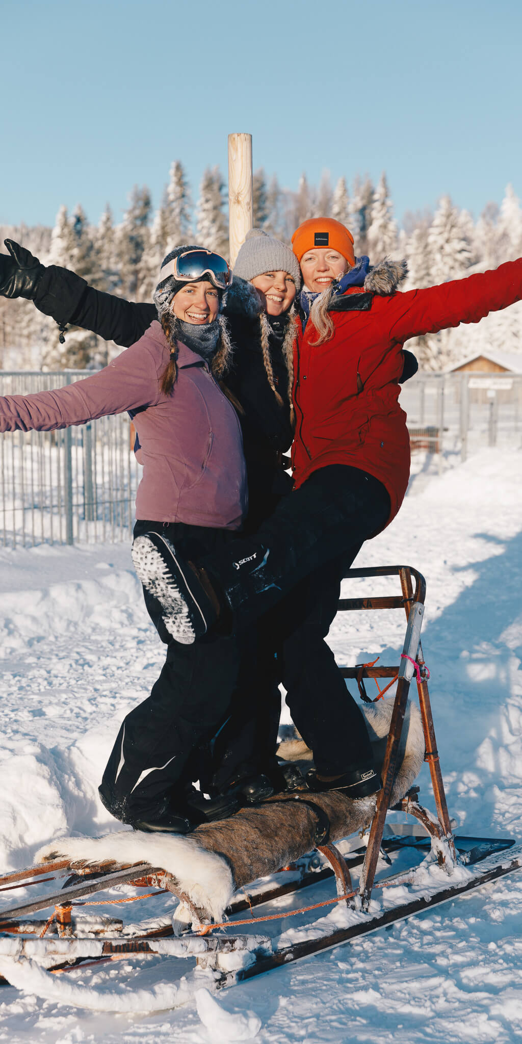 Women on a snow sled in Lapland winter, smiling in snowy forest conditions