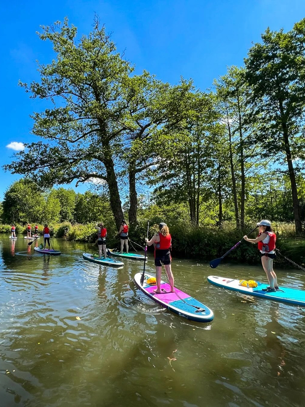 Women paddleboarding on calm river with trees under a clear blue sky