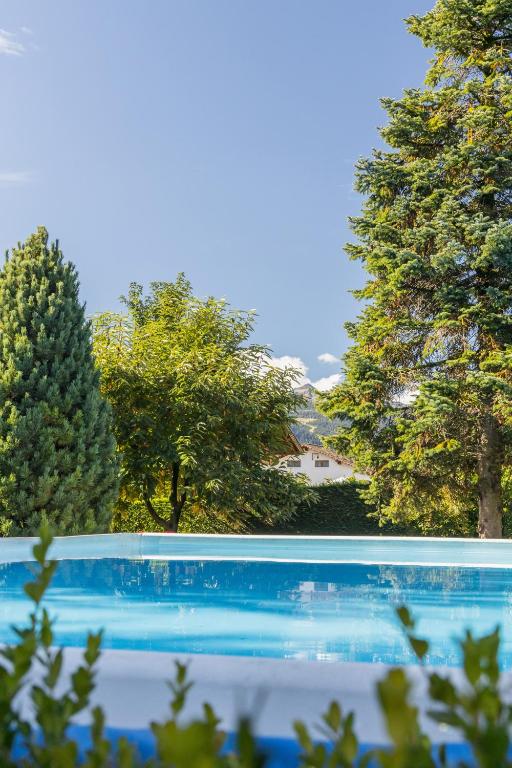 Outdoor blue swimming pool surrounded by trees, with countryside buildings in the background.