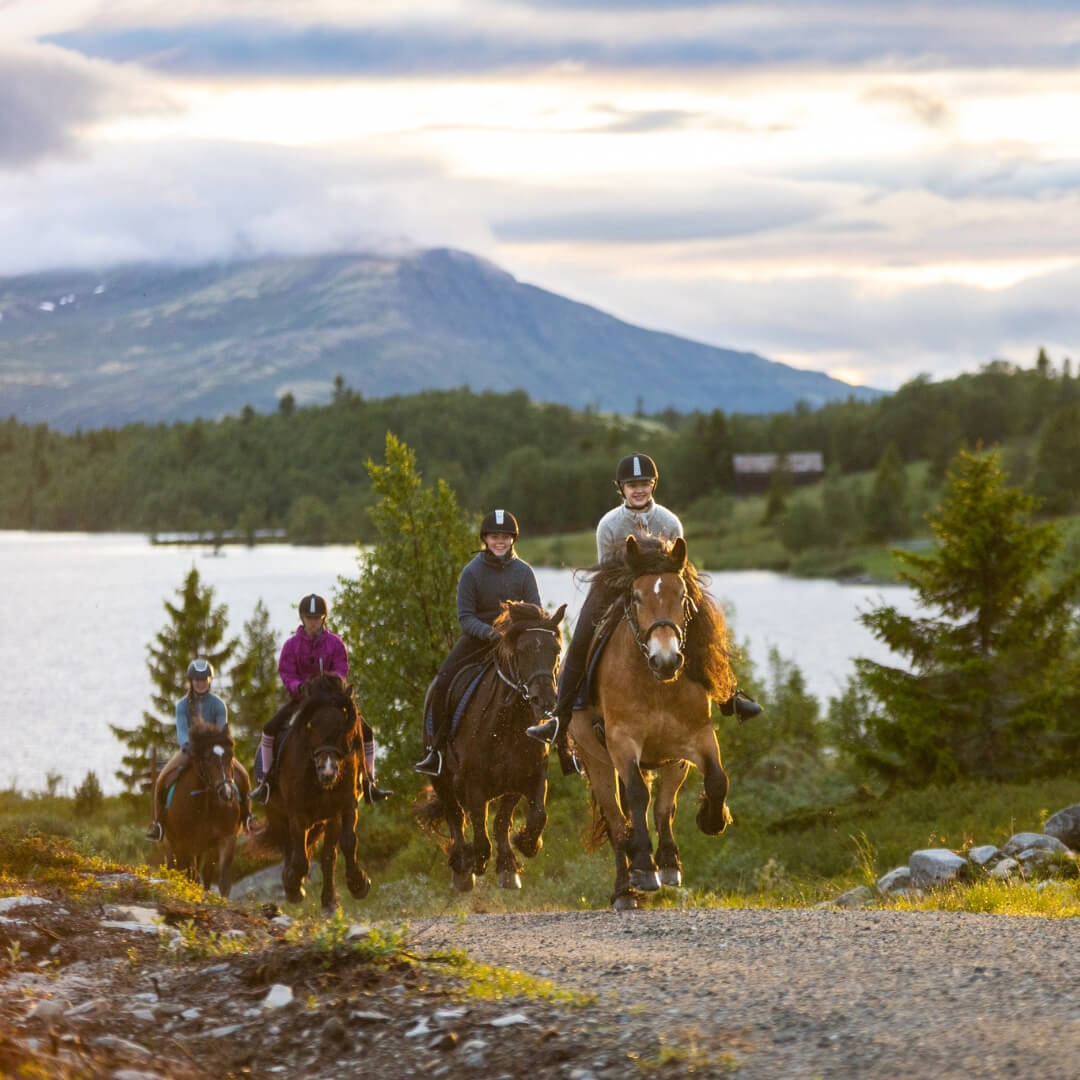 Horse Riding Holiday in Norway for Experienced Riders