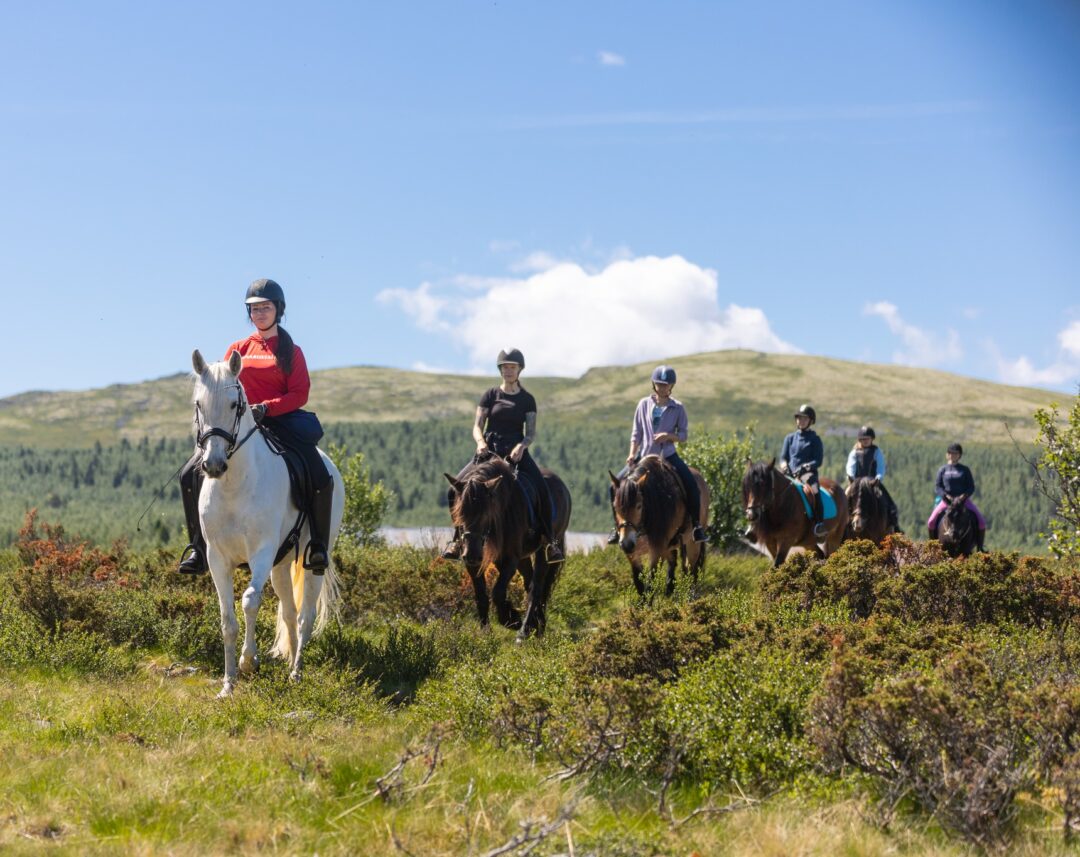 Women horse riding together on a mountain trail under a blue sky, outdoors