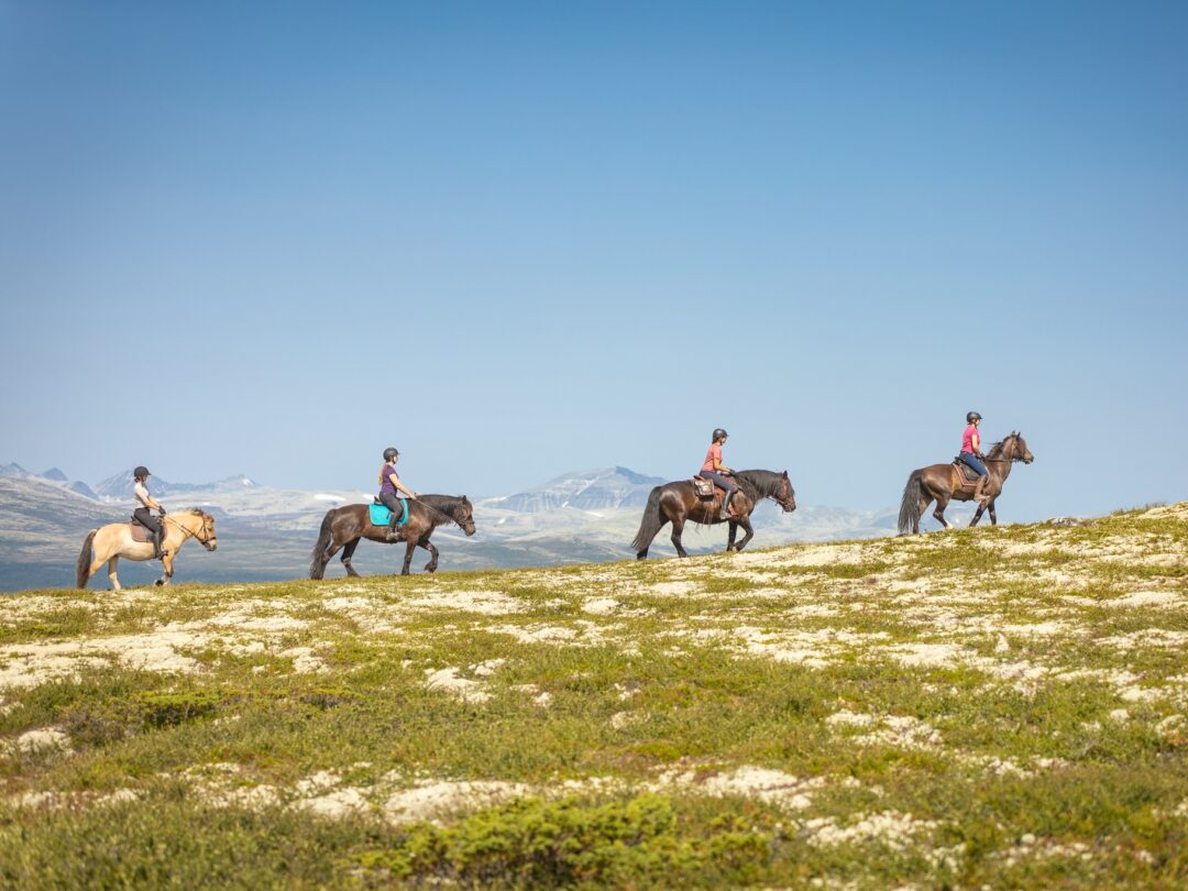 Women horseback riding across snowy mountain slopes under a clear blue sky