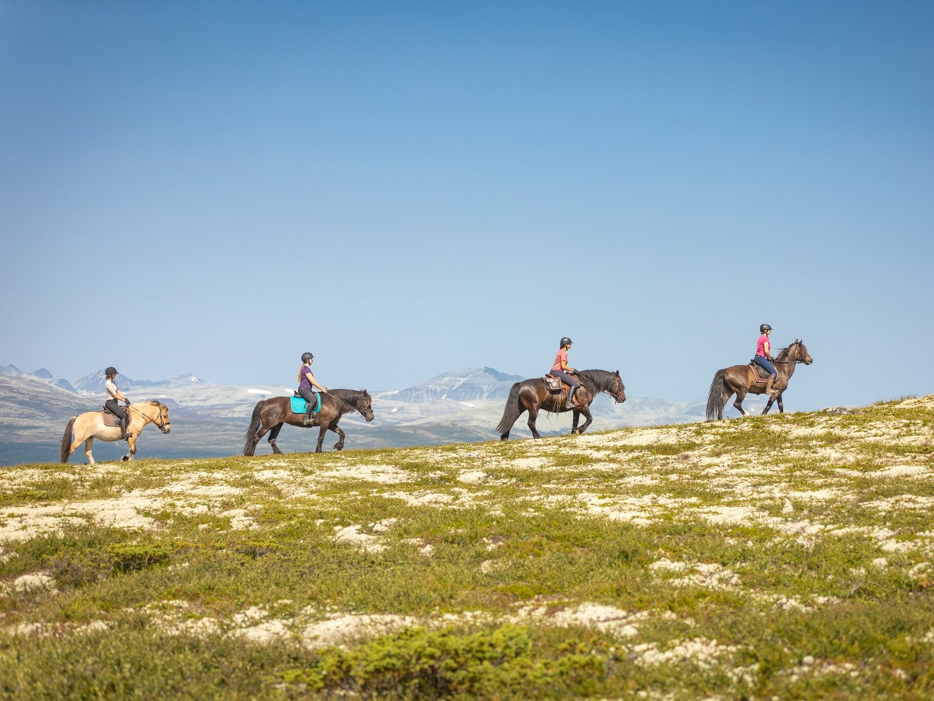 Women horseback riding across snowy mountain slopes under a clear blue sky