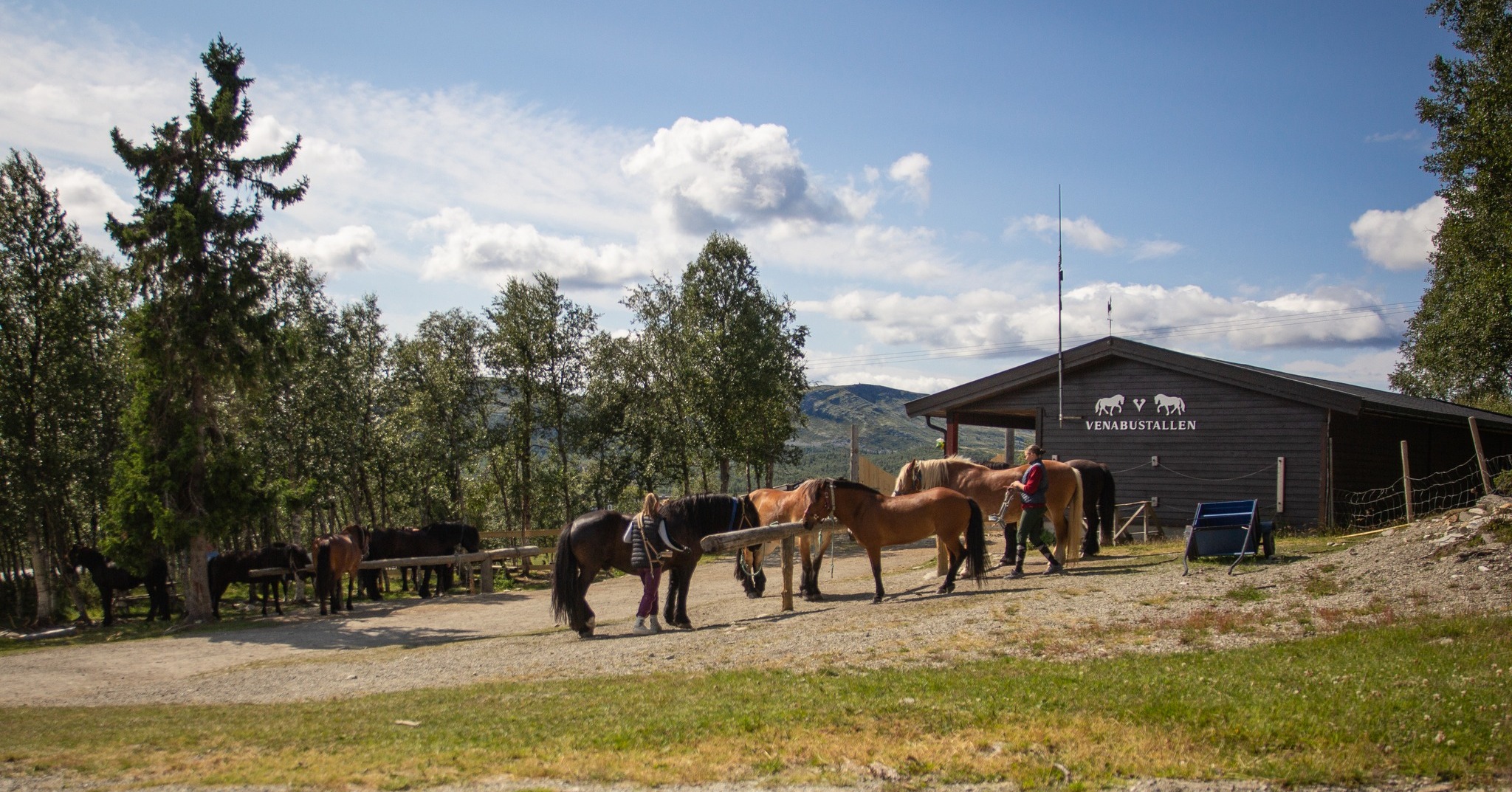 Riders with horses near a wooden stable in Norway, with mountains in the background