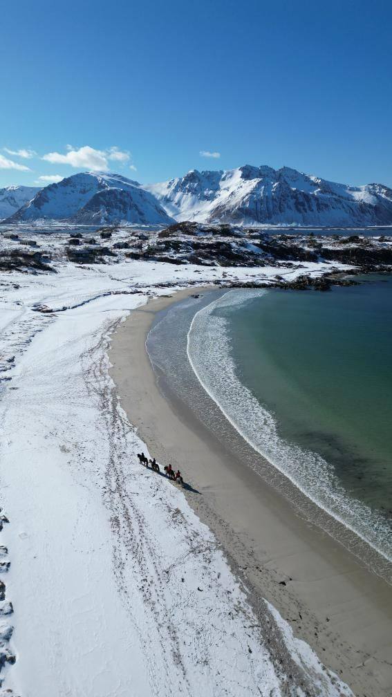 Snow-covered beach walk in Lofoten, Norway, with hikers and mountains rising above the shoreline