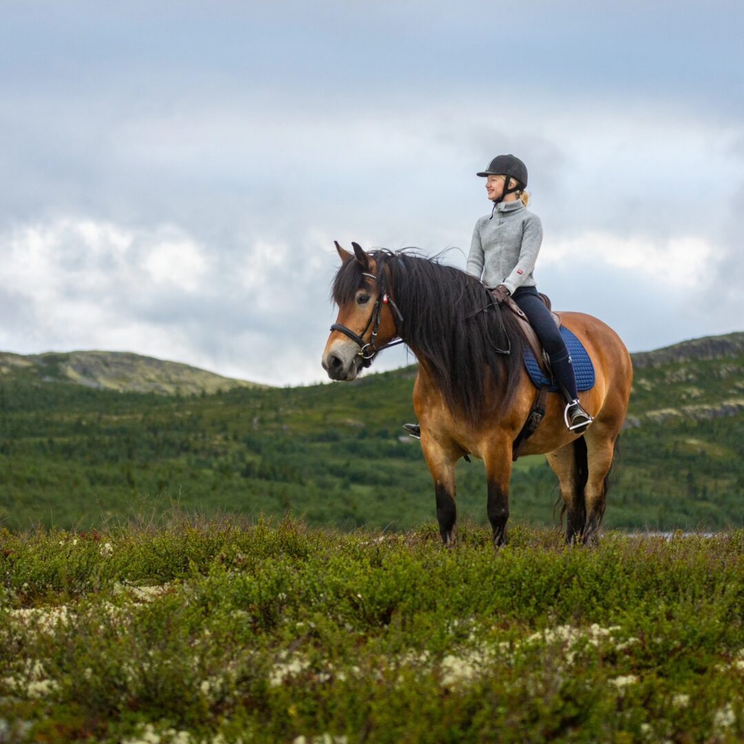 Improvers Horse Riding and Yoga Holiday in Norway