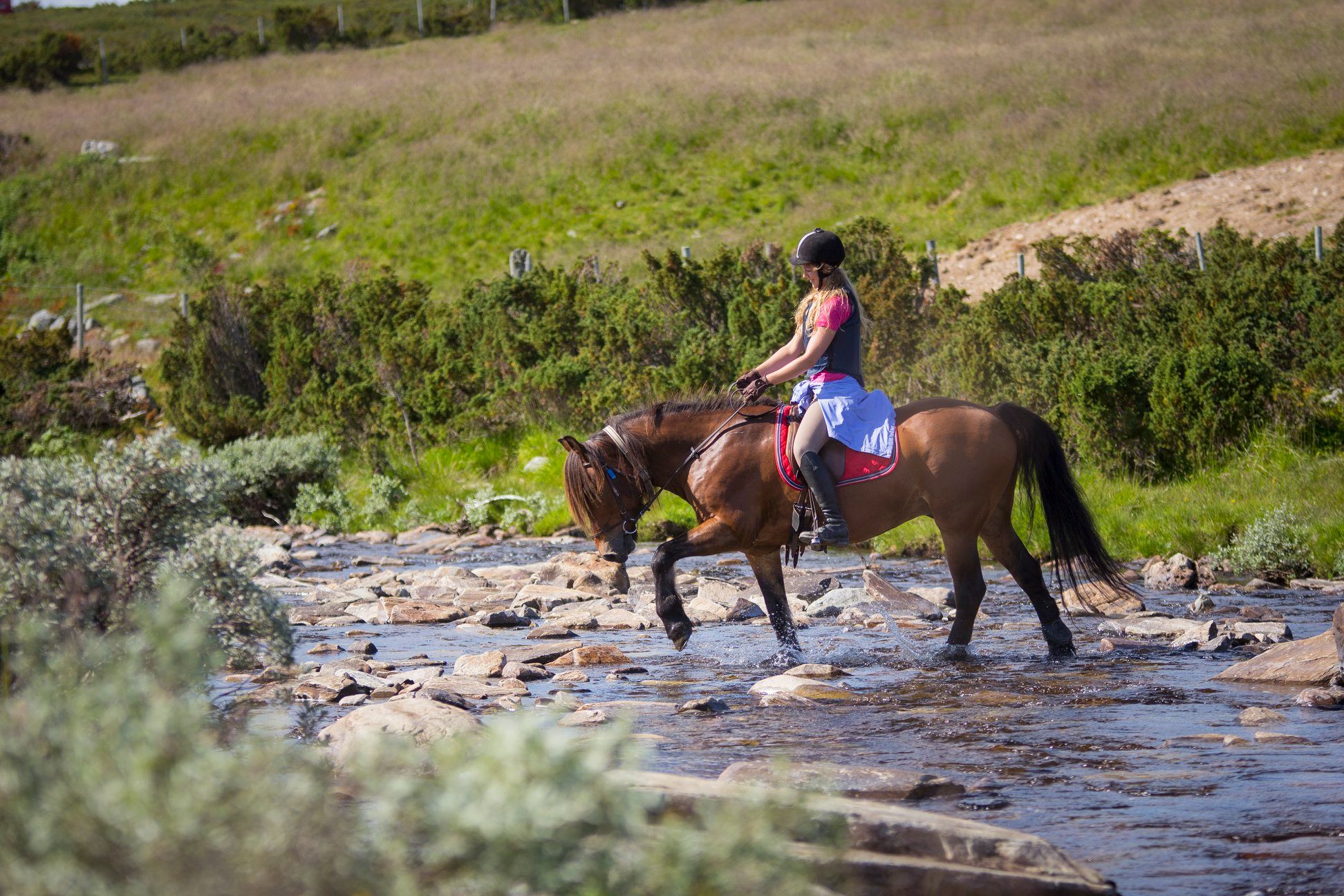Woman horse riding on a rocky river in Norway countryside, during an improvers holiday.