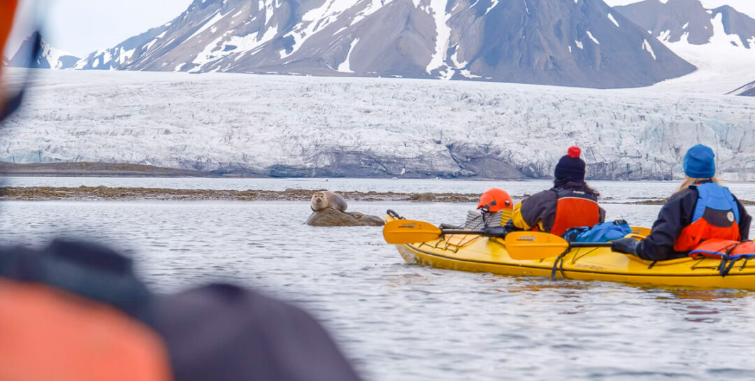 Kayakers on a Svalbard fjord beside glaciers during an Arctic summer expedition.