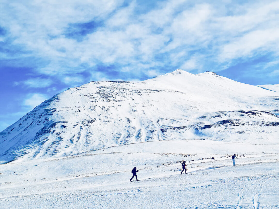 Women skiing on snowy mountain slopes in winter landscape with a snow-covered peak