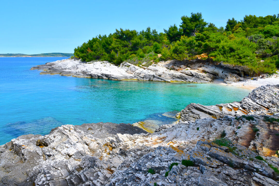 Rocky Adriatic coastline with turquoise sea and pine-covered cliffs