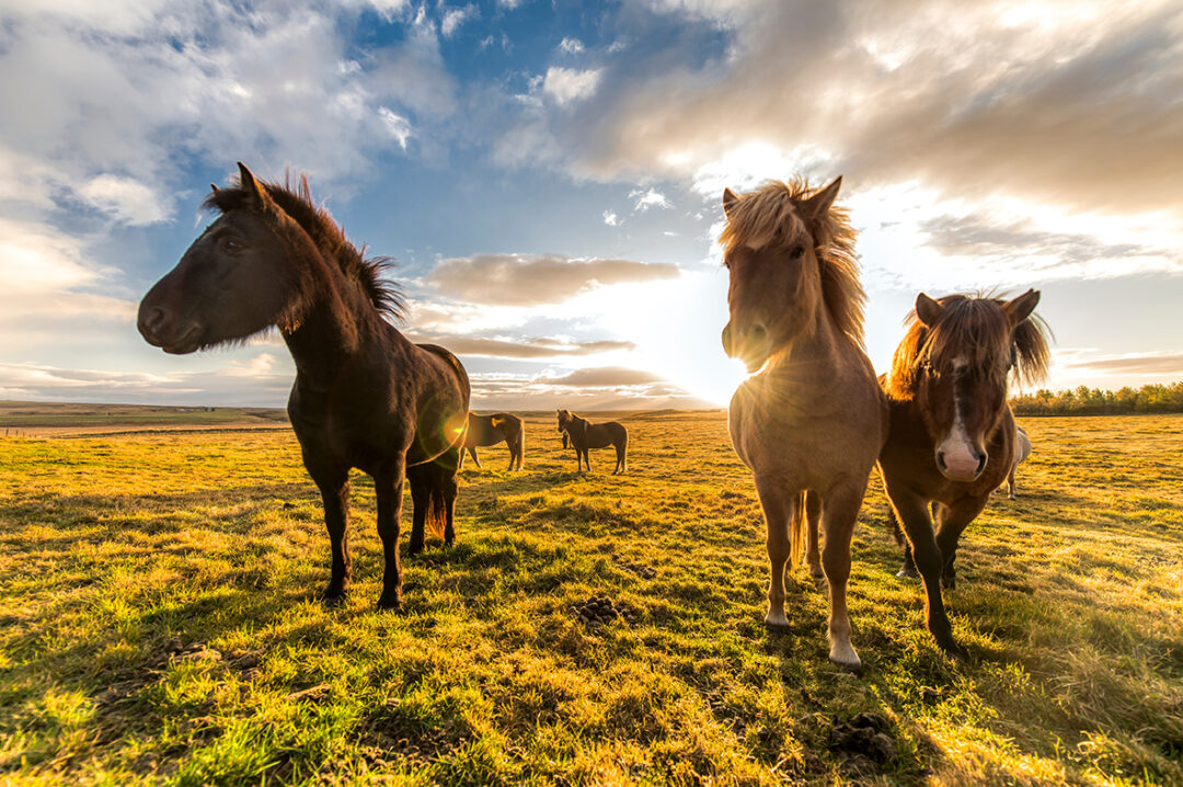 AdobeStock_243571347