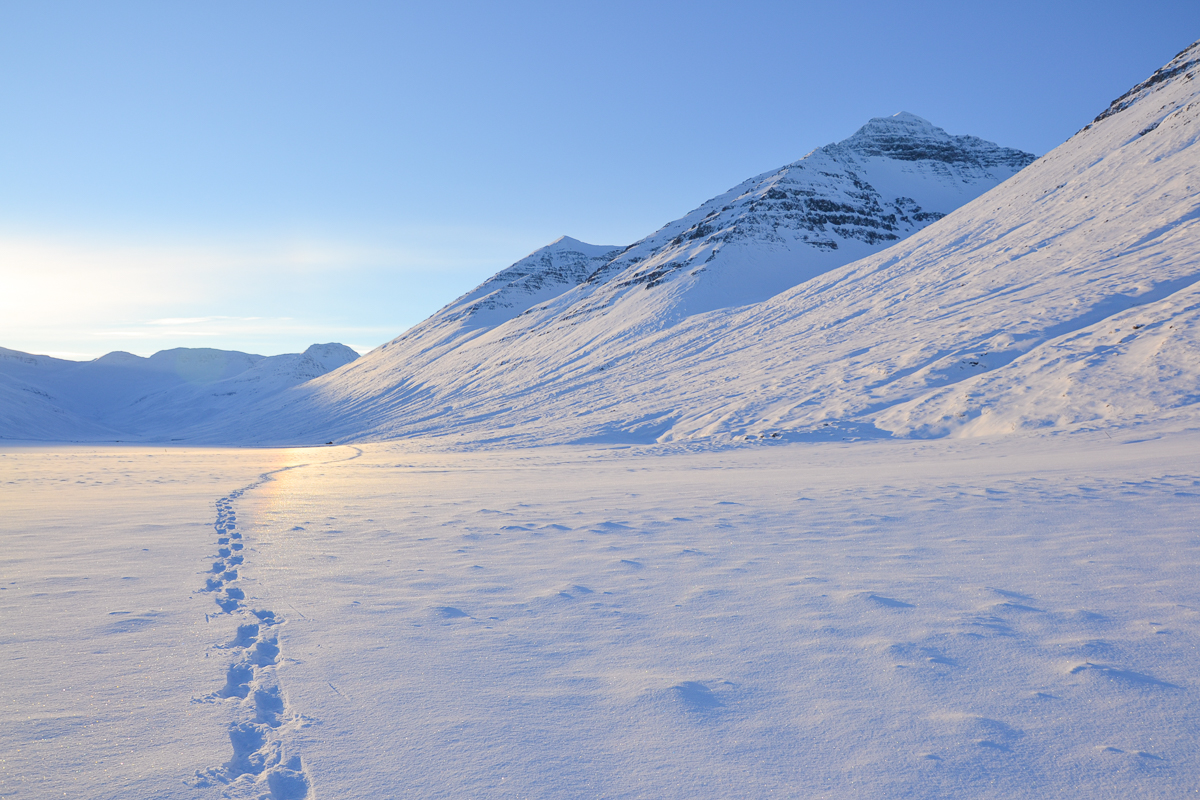 Snowy mountain landscape with ski tracks across a white valley