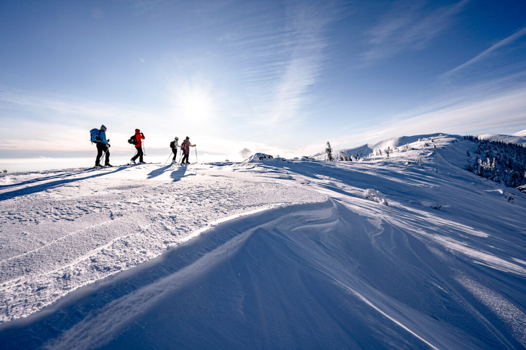 Women ski touring across a snowy mountain ridge under a bright sun and blue sky
