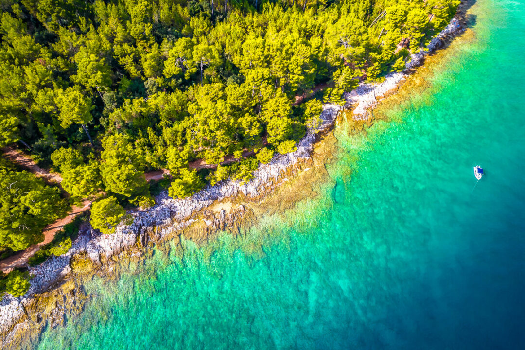 Aerial view of a forested coastline with turquoise sea and rocky shoreline