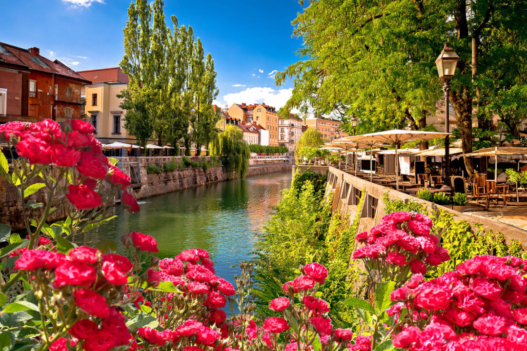 Riverfront town with outdoor café terraces and bright red flowers along the canal under a blue sky