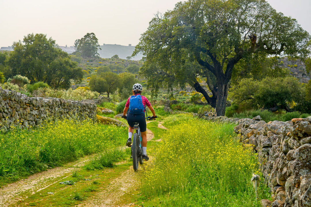 Woman cycling along a countryside trail through fields, trees and stone walls