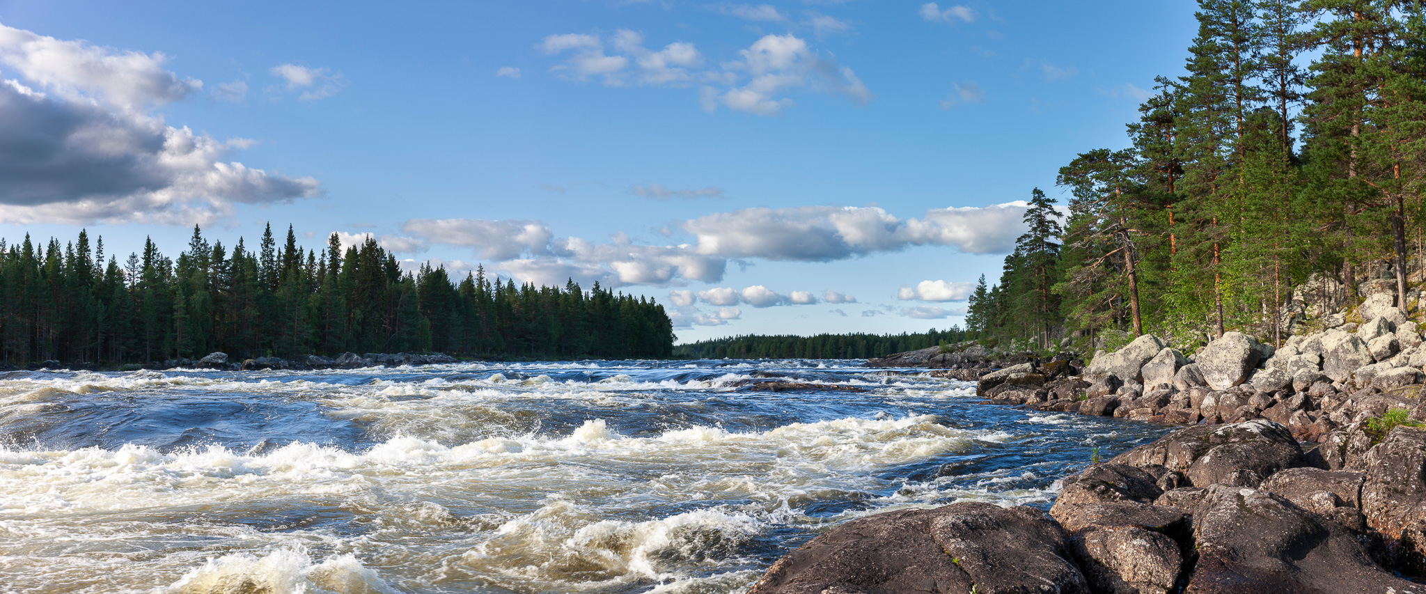 Fast-flowing river rapids beside a rocky shoreline in pine forests, Swedish Lapland wilderness.