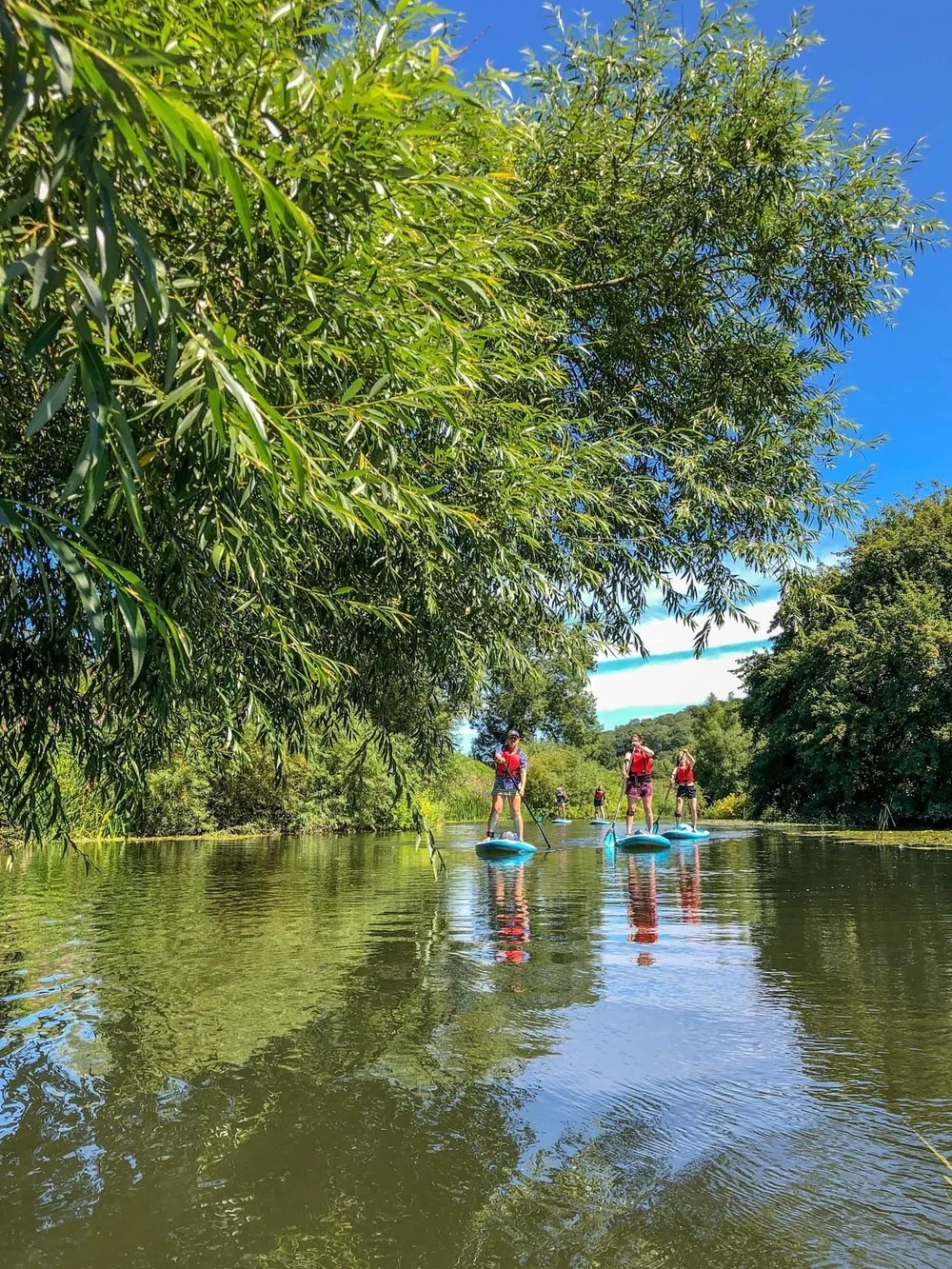 Women stand-up paddleboarding on a calm river surrounded by greenery under a blue sky