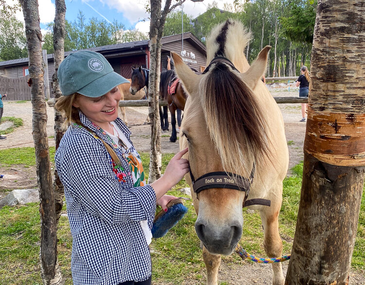 Woman grooming a horse in an outdoor yard; “back on Track” on saddle pad