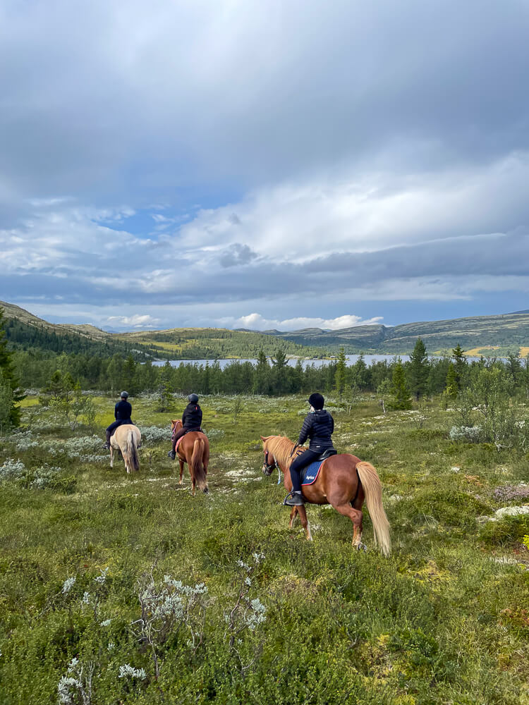 Horse riders on horseback in a green valley under cloudy skies, trail riding outdoors