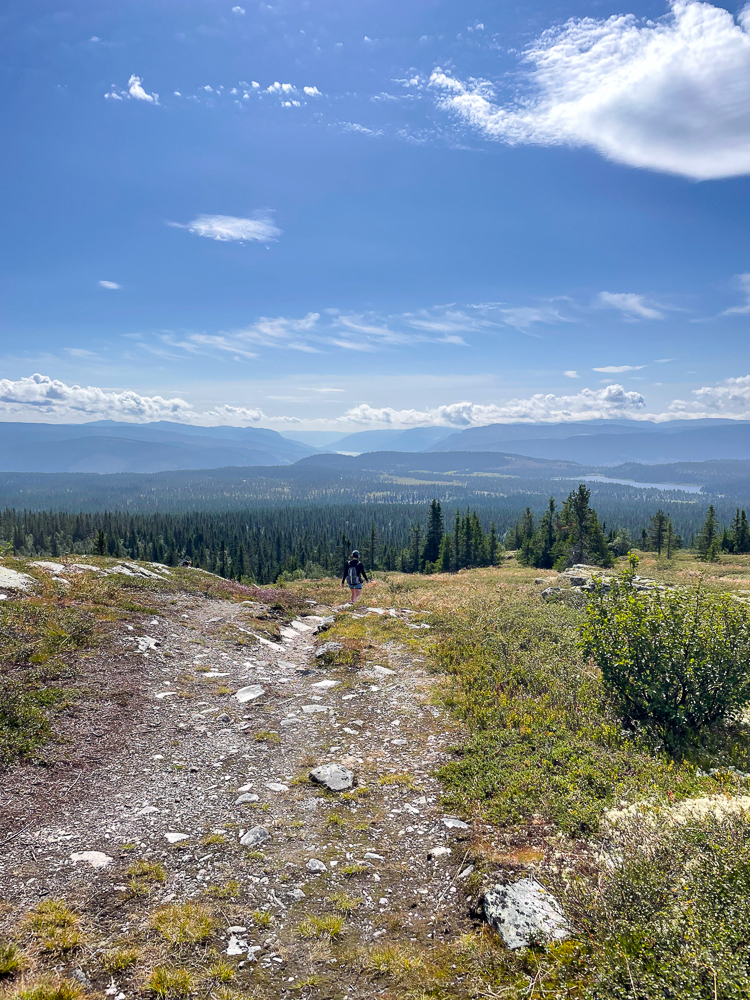 Woman hiking along a mountain trail over forested valleys under a blue sky and clouds in Norway