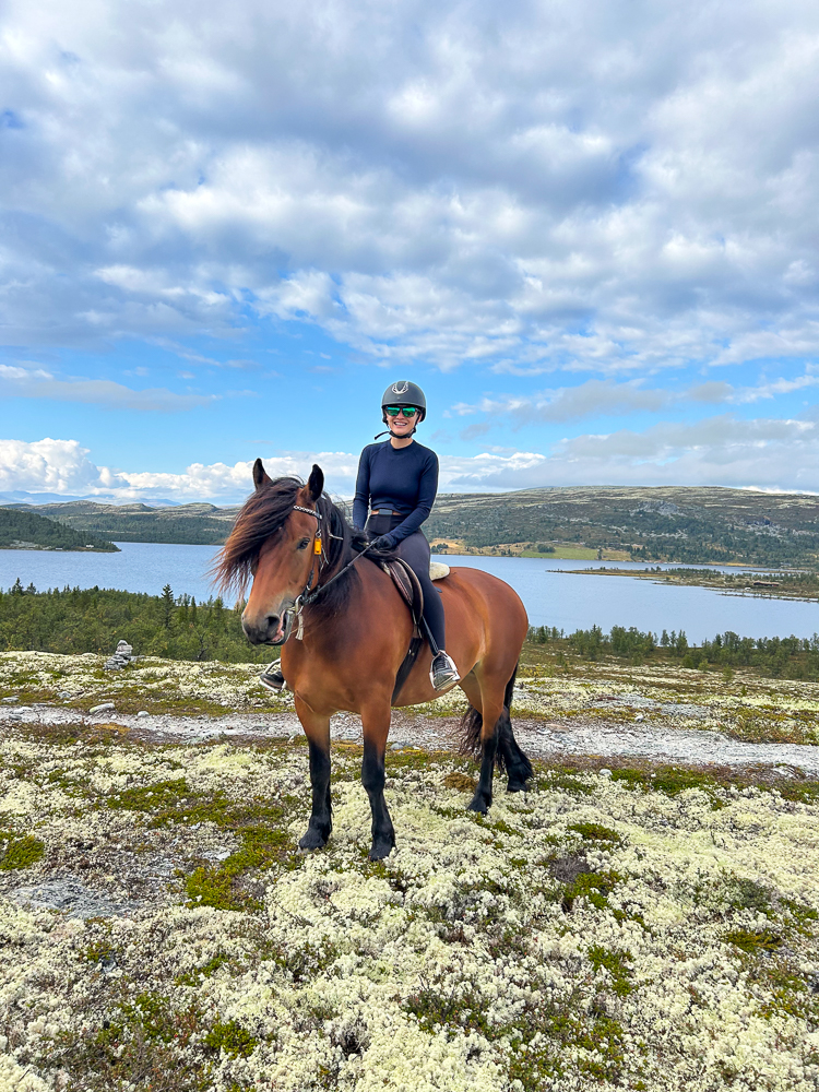 Beginner Horse Riding Holiday in Norway