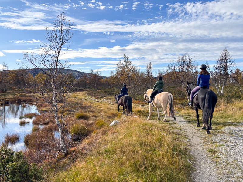Women horse riding along a track beside a pond in Norway countryside