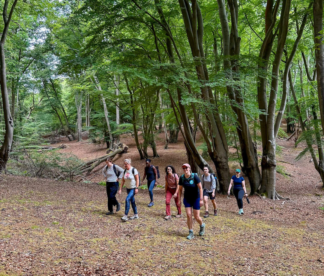 Women on a guided hike along a woodland trail in Epping Forest near London