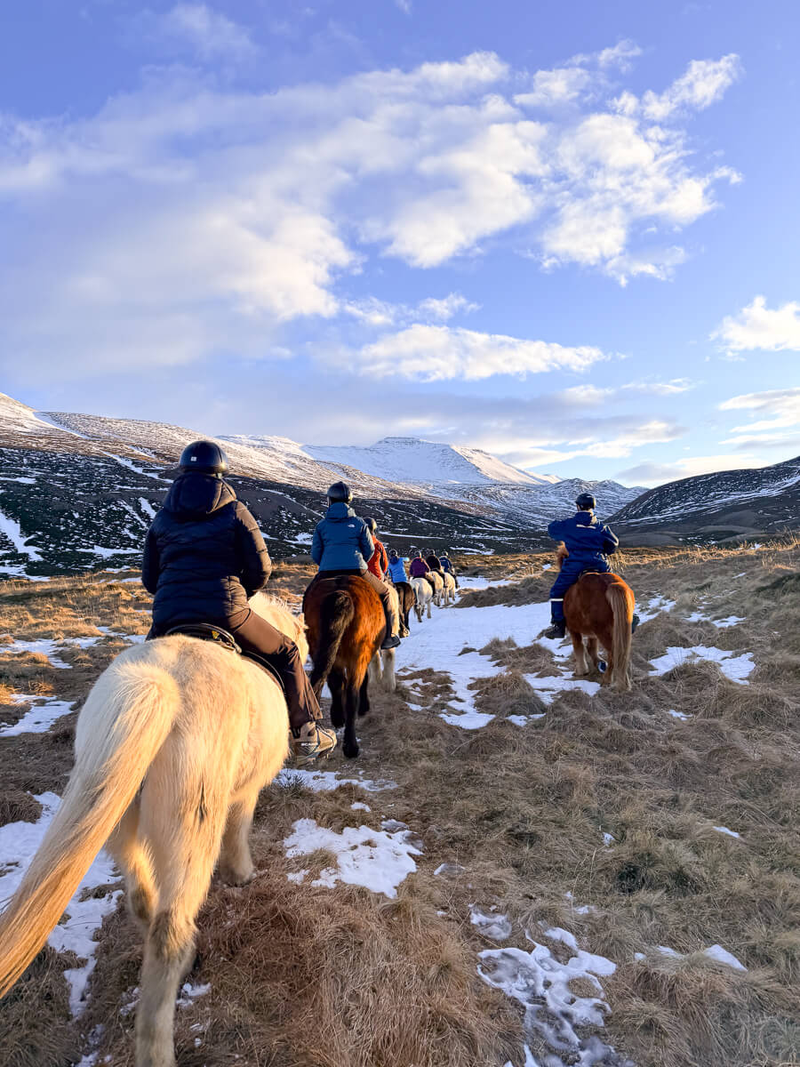 Horse riders on horseback along a snowy track through Iceland’s winter countryside
