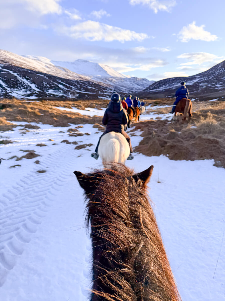 Women horseback riding through snowy fields in North Iceland, with mountains in the background.