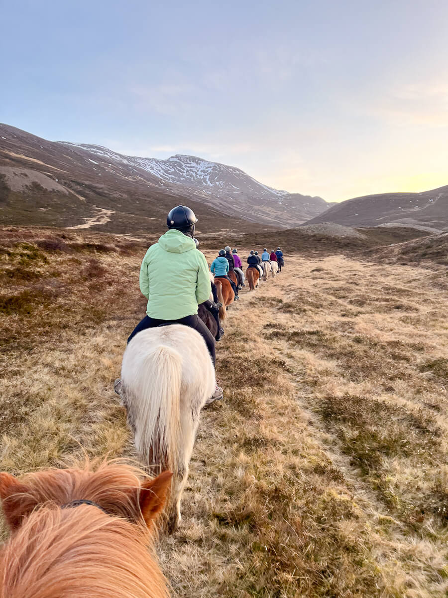 Women horse riding along snowy hills in North Iceland at sunset