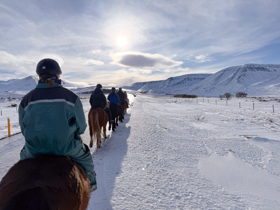 Women riding horses through snowy countryside in North Iceland on a winter holiday