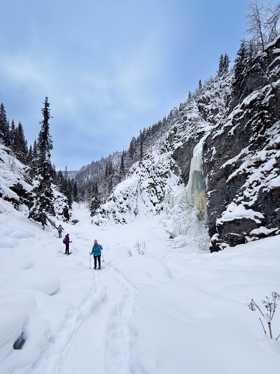 Skiers cross-country in a snowy Norwegian valley beside an icy waterfall and pine forest