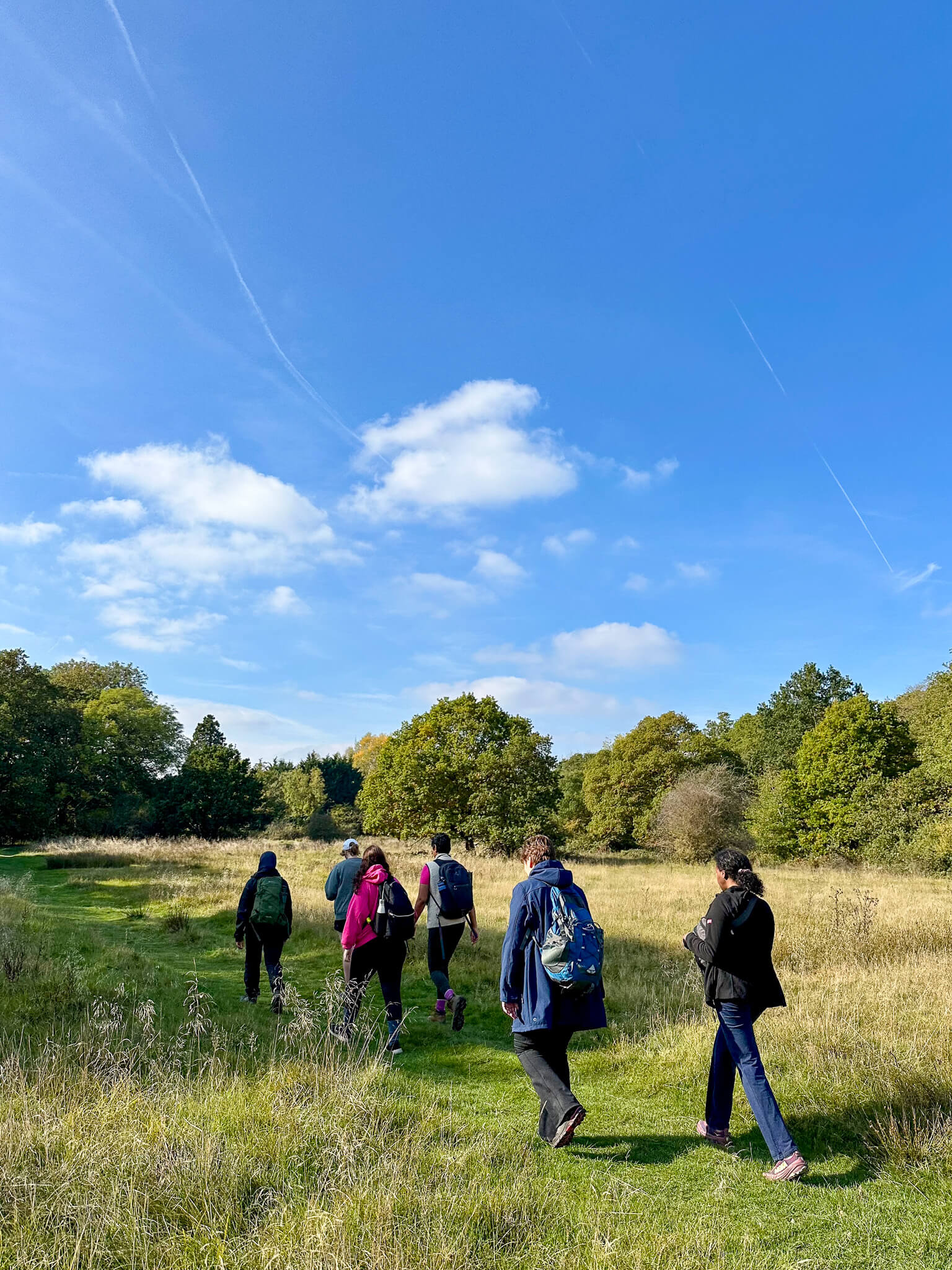 Women hiking on a guided trail through a grassy woodland clearing under a blue sky