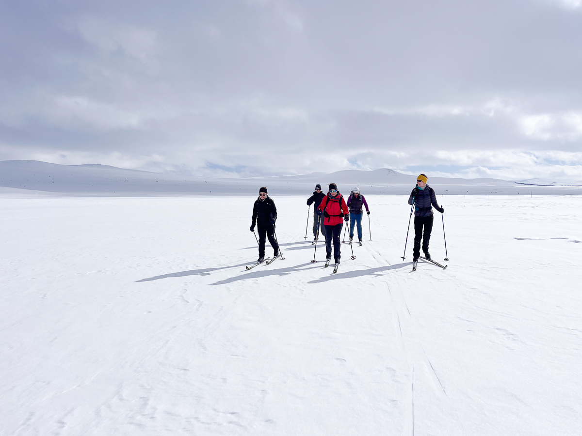 Beginner Cross Country Ski and Yoga Weekend in Norway hero