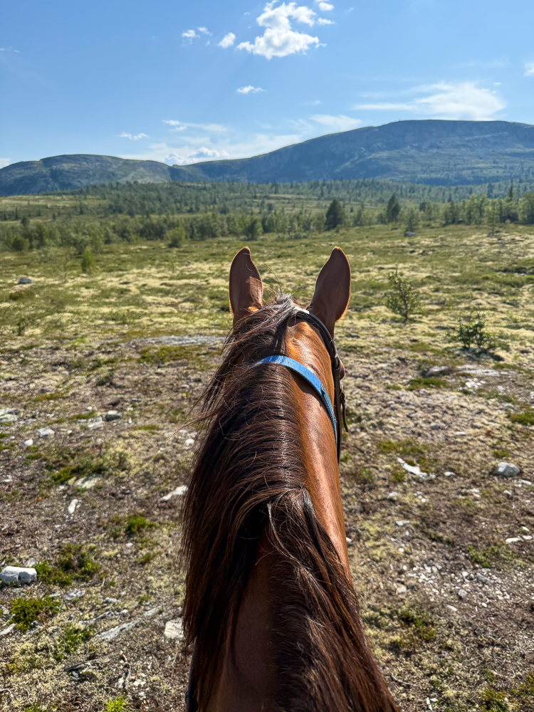 Horseback riding on a rocky trail through a mountain valley under a blue sky