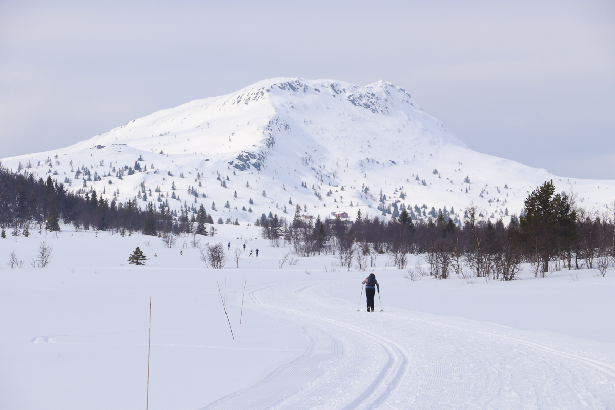 Women cross-country skiing on snowy tracks with mountains in Norway