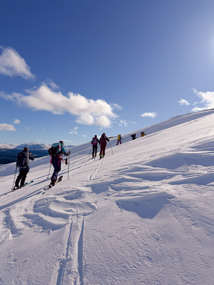 Women ski touring across a snowy mountain slope, a group trekking with skis and poles