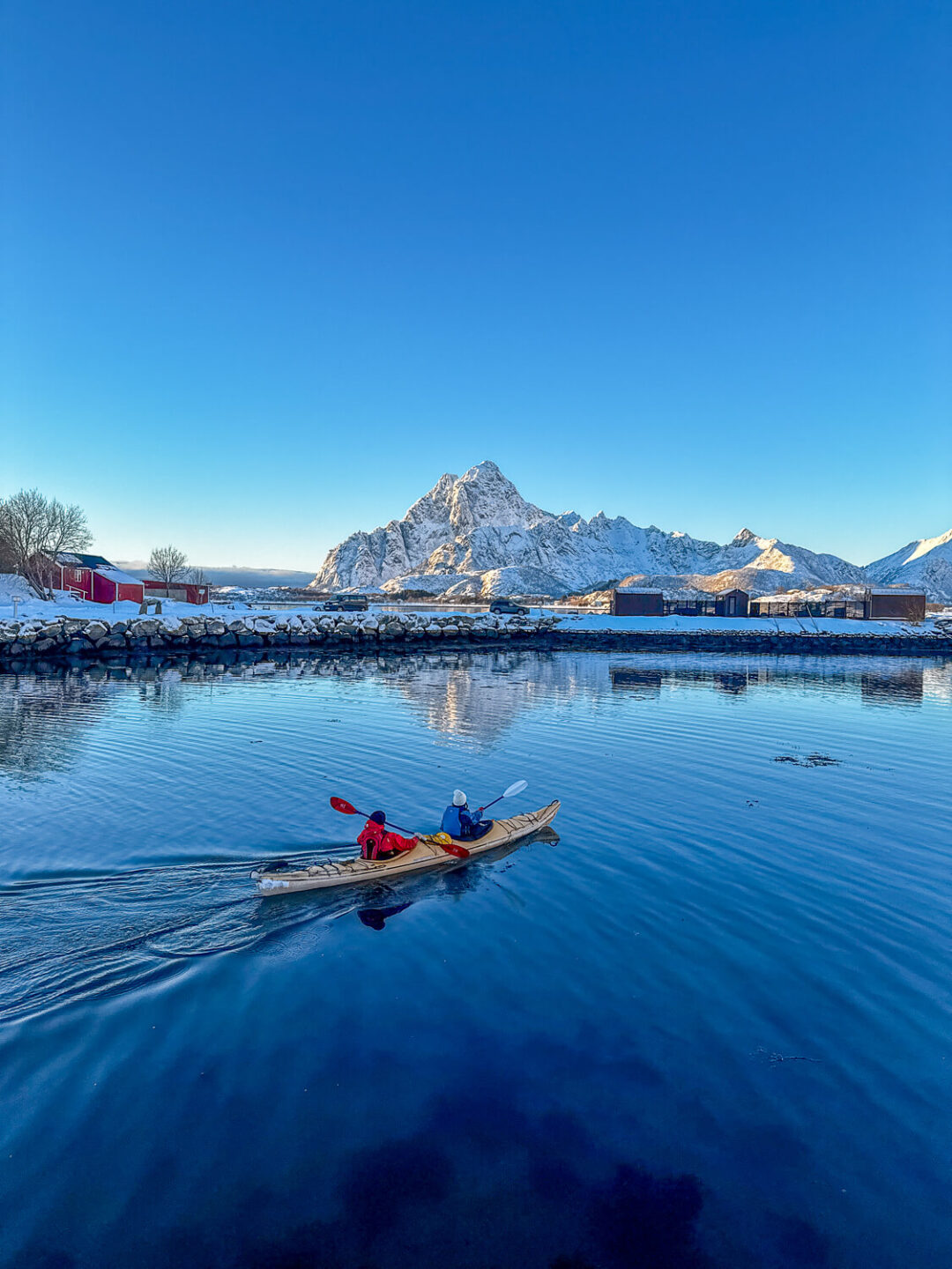 Kayakers paddling on a calm fjord with snowy mountains in the distance under clear blue sky