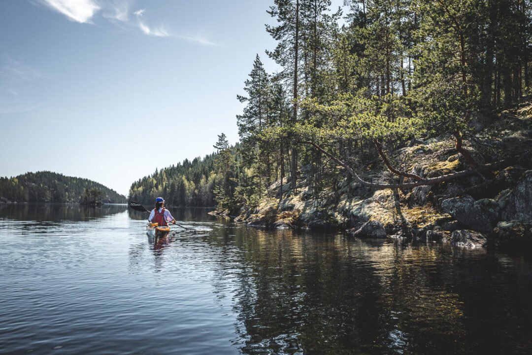 Woman kayaking on a calm lake beside pine forest in Swedish Lapland wilderness adventure