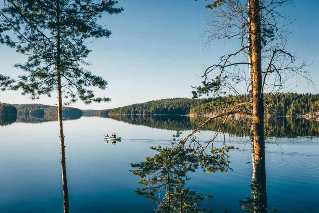 Kayakers paddling on a calm lake surrounded by pine forest in Sweden’s wilderness