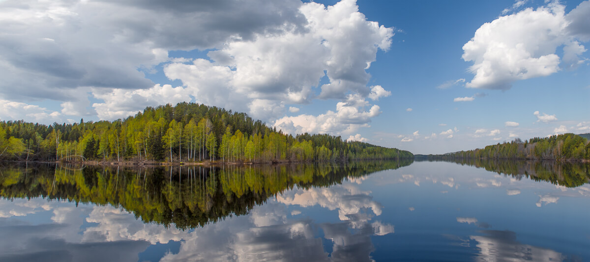 Calm lake with mirrored reflections and surrounding pine forest under a blue sky, Swedish Lapland wilderness landscape