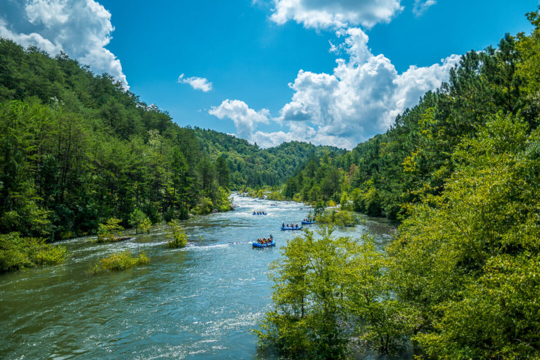Kayakers on a river rafting route through dense forest under a blue sky