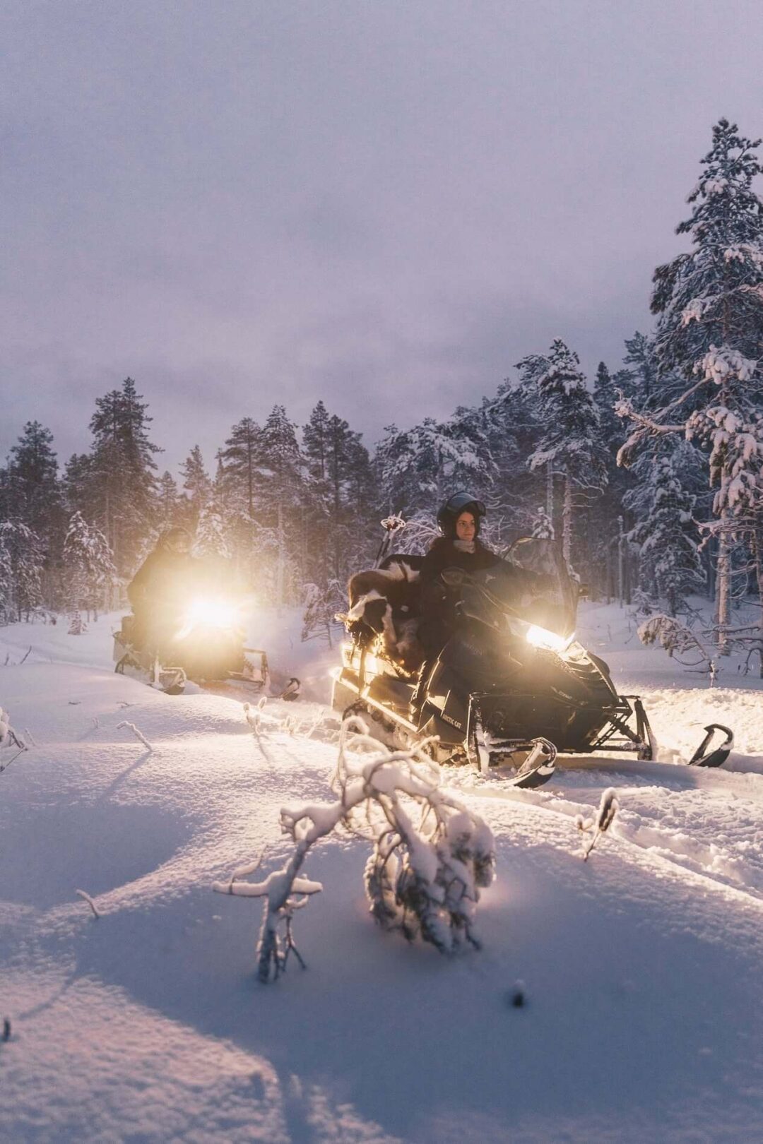 Women on snowmobiles in snowy Lapland forest at sunset
