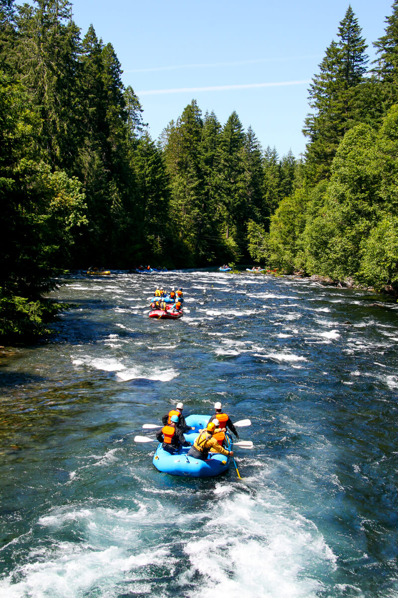 Women rafting on a river through forest in Swedish Lapland, multi-activity wilderness adventure