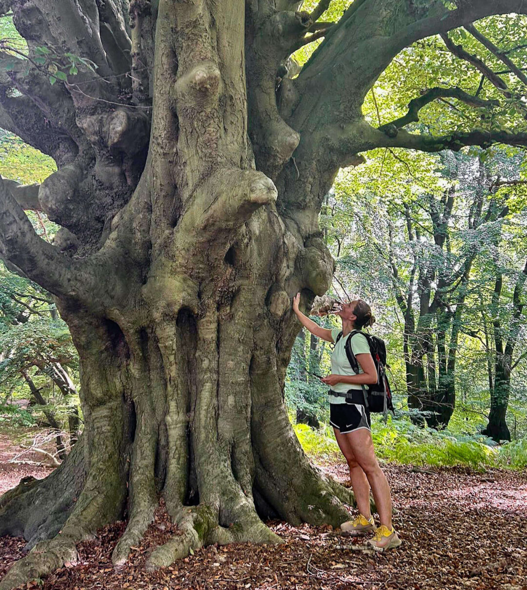 Woman hiking near Epping Forest, standing by a large tree trunk among woodland trails